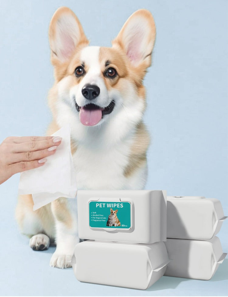 TOALLITAS HIGIÉNICAS PARA PERROS - LIMPIAR PATAS, OÍDOS Y CUERPO