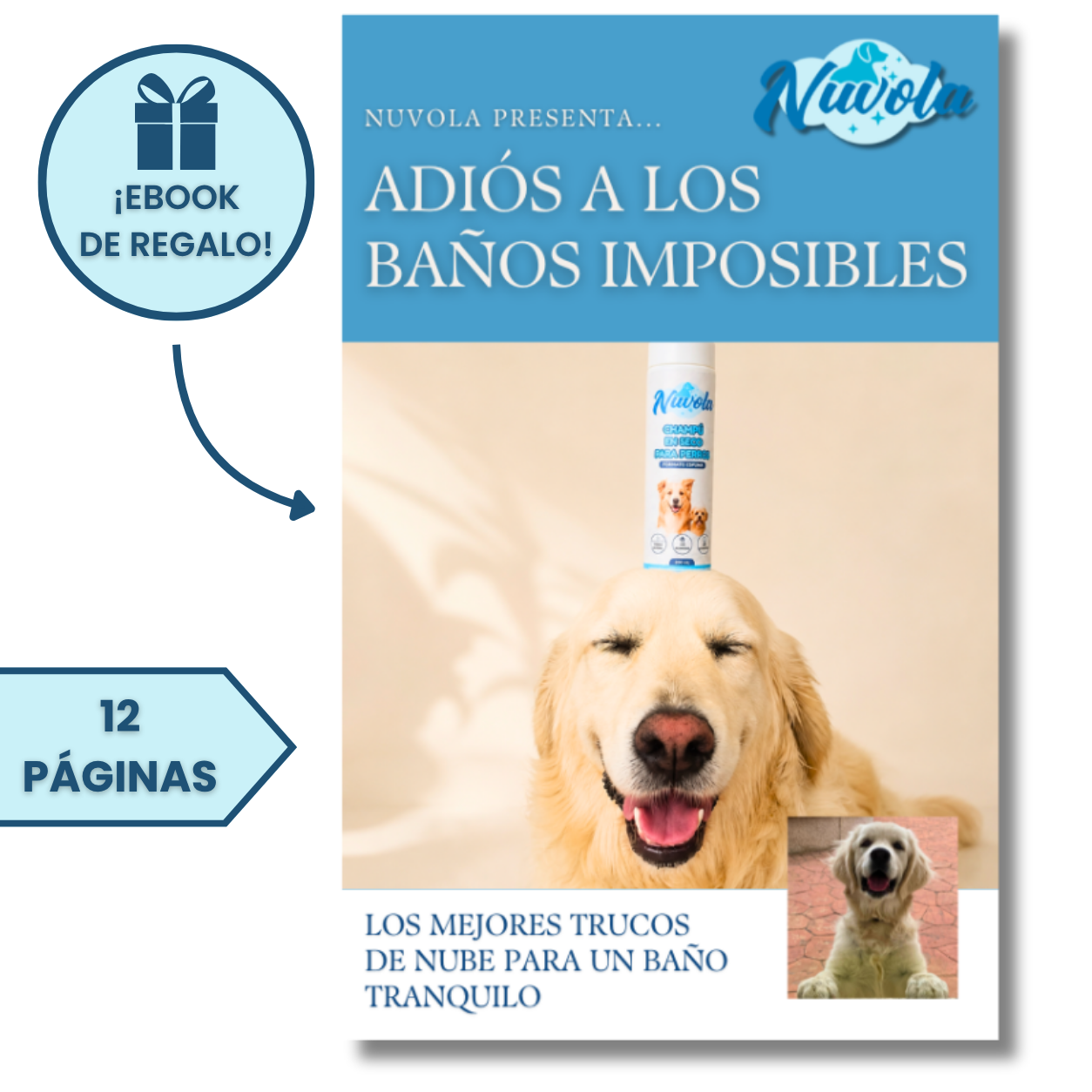 CHAMPÚ EN SECO PARA PERROS - SIN ACLARADO, SIN AGUA - LAVA A TU PERRO RÁPIDO Y SIN ESTRÉS